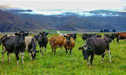 Como a duração do período seco pode interferir no desempenho da vaca em lactação?