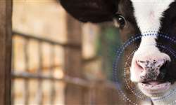 Inforce 3 é certificada como produto que promove o bem-estar animal