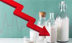 Baixa no preço impacta produção de leite