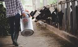 Fetag-RS diz que não admitirá novas quedas no preço do leite pago ao produtor
