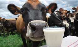 Levantamento da Emater aponta queda de 5,71% no preço do leite no RS