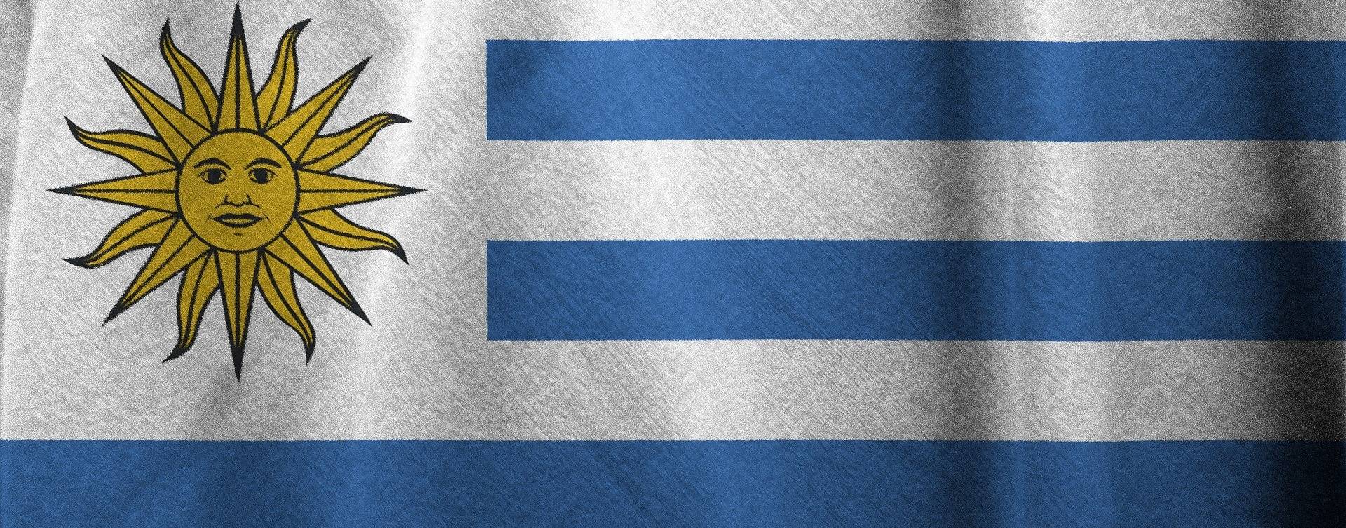 Uruguai: setor leiteiro exporta mais de US$ 1000 por hectare