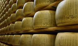 Aspectos bioquímicos da maturação de queijos