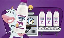 Laticínio Xandô, da Fazenda Colorado, lança leite A2A2