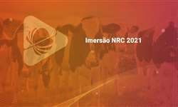 O que esperar do novo NRC 2021?