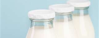 Dificuldades da difusão do leite A2 nos laticínios