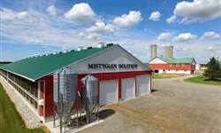 Canadá: produtores investem em processamento de lácteos dentro da fazenda