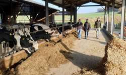 Fazenda leiteira alemã é projeto piloto da Nestlé em zero emissões de gases