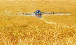 Países árabes podem aumentar oferta de fertilizantes para o Brasil