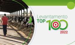 Top 100 2022: os maiores produtores de leite do Brasil em 2021!