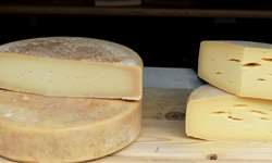SC: certificação permite queijaria expandir vendas de laticínios para todo o Brasil