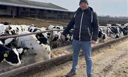 Produtor de fazenda ocupada por russos na Ucrânia é forçado a abater vacas