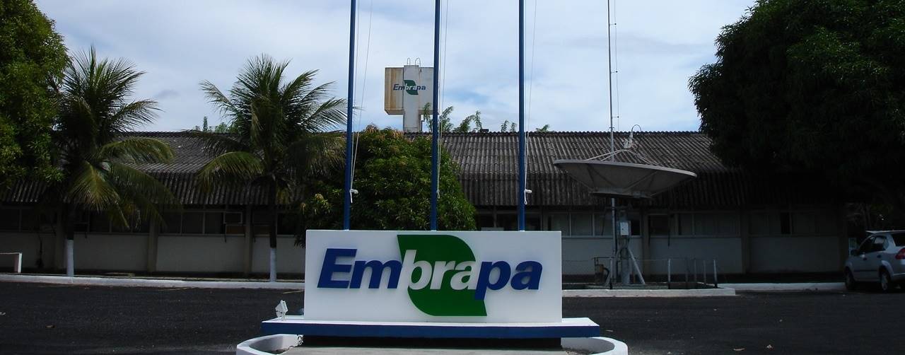 Projeto "Transforma Embrapa" está mais perto de sair do papel