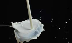 Homogeneização à alta pressão e constituintes do leite