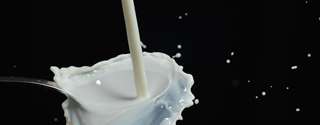 Homogeneização à alta pressão e constituintes do leite