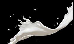 Rentabilidade segue apertada no leite, mas expectativa é positiva para próximos meses