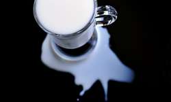 Relação de troca na produção de leite