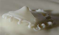 Reino Unido: First Milk lança plataforma de marca regenerativa