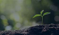 Agropecuária deve crescer no mercado voluntário de créditos de carbono, aponta estudo