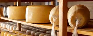 Análises fáceis para assegurar a identidade de queijos produzidos em pequena escala