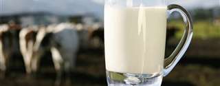 GO: governador aposta em ciência para expandir setor leiteiro