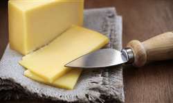 Lutz Viana: retorno da tarifa de importação de queijos
