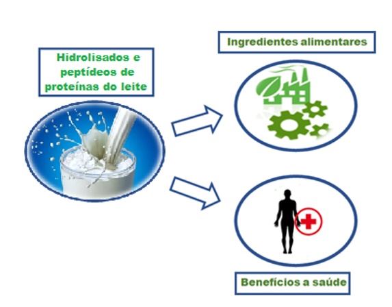 Aplicações dos hidrolisados e peptídeos de proteínas do leite