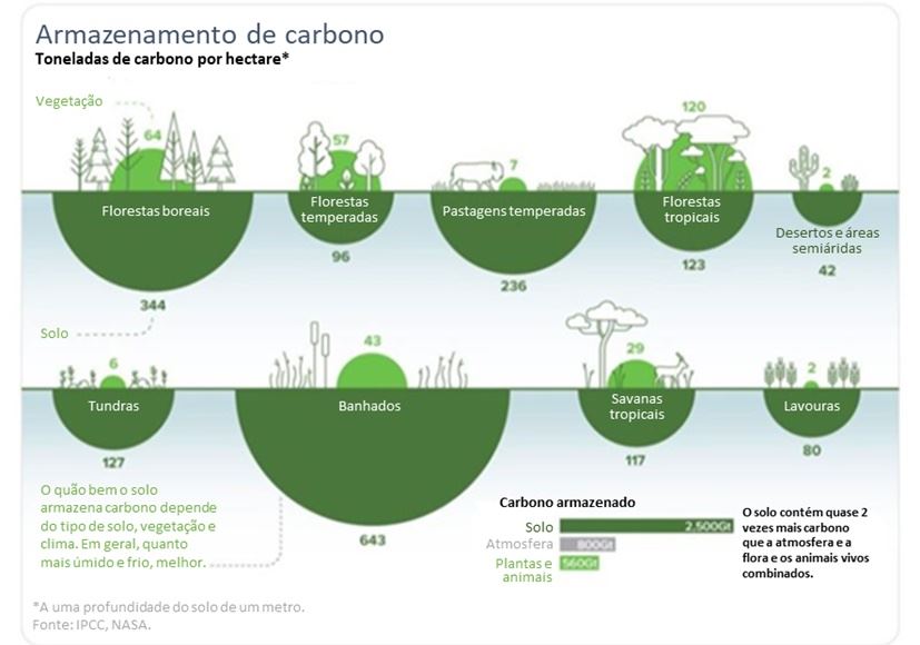 Armazenamento de carbono nos diferentes ecossistemas terrestres.