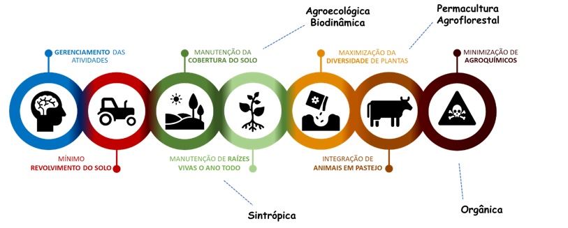 Agricultura regenerativa: princípios fundamentais e relação com outras modalidades de produção agropecuária diferenciada