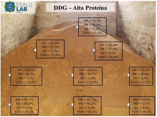 Composição bromatológica do DDG - alta proteína coletado em nove pontos diferentes.