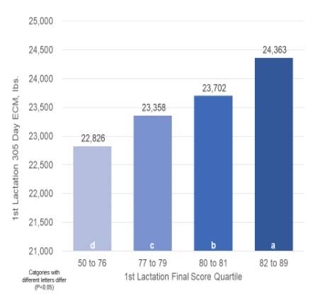 conformação e caracteristicas econômicas