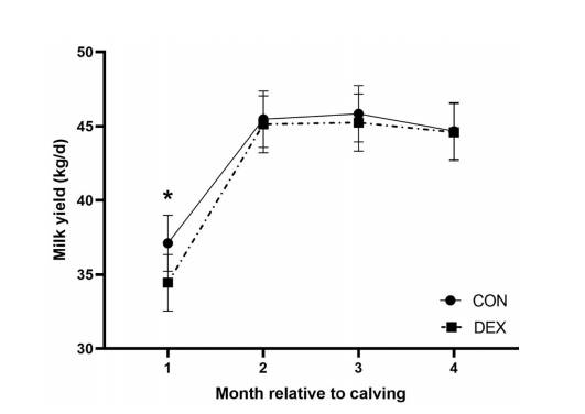 Produção de leite nos 4 primeiros meses de lactação de vacas com distocia de acordo com o tratamento DEX (dexametasona 0,1 mg/kg de peso corporal) ou CON (soro fisiológico) dentro de 12 horas após o parto.