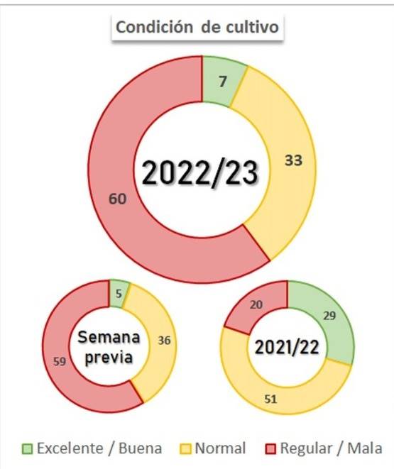 condições de cultivo 