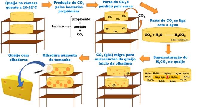 olhaduras em queijos