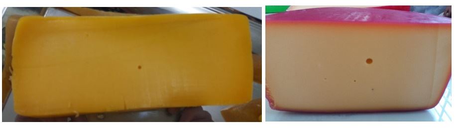 olhaduras em queijos