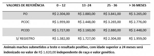 Figura 1