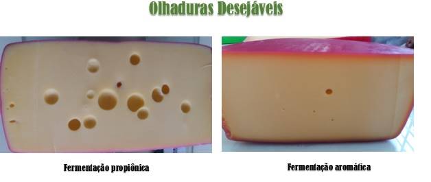 Figura 1