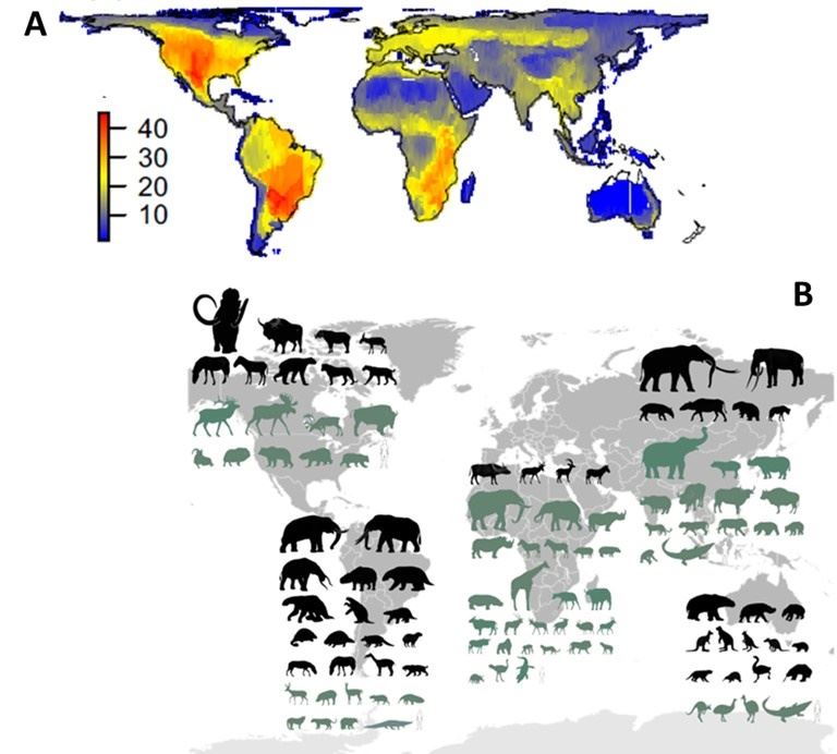Espécies da megafauna antes das grandes extinções e da chegada do ser humano (A), e existentes atualmente (em verde) e extintas (em preto) (B), em cada continente.