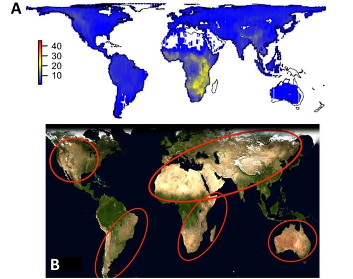 Espécies da megafauna (A) e processos de desertificação (B) existentes atualmente em diferentes regiões do globo.