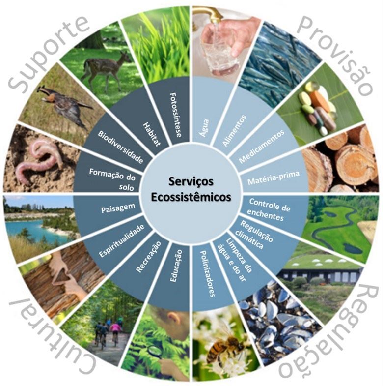  Serviços ecossistêmicos relacionados à agricultura