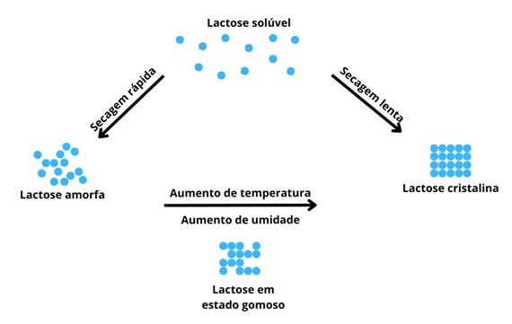 Esquema da lactose fora do equilíbrio após a secagem (lactose amorfa), lactose em estado intermediário (lactose em 