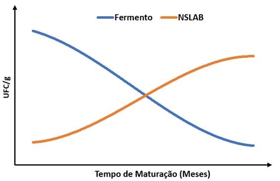 Tendência de comportamento do desenvolvimento microbiano do fermento e das NSLAB (non-starter lactic acid bacteria) durante a maturação de queijos. 