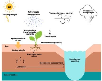 Dinâmica da contaminação por agrotóxicos em solos e águas.