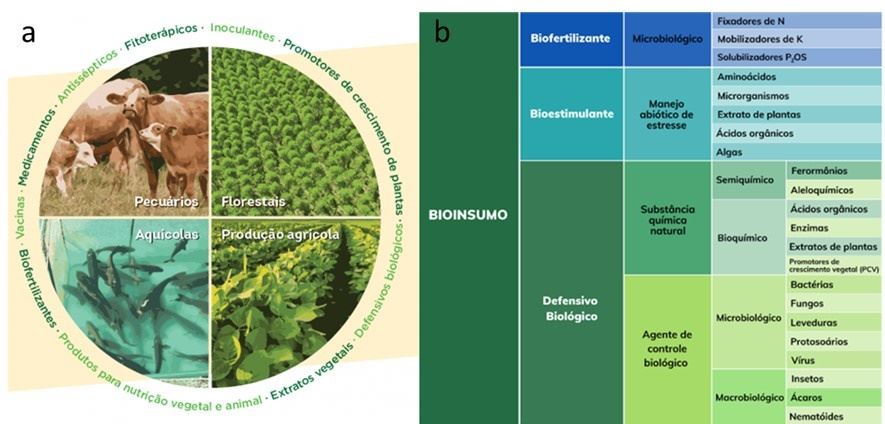 Panorama da utilização e classificação de bioinsumos