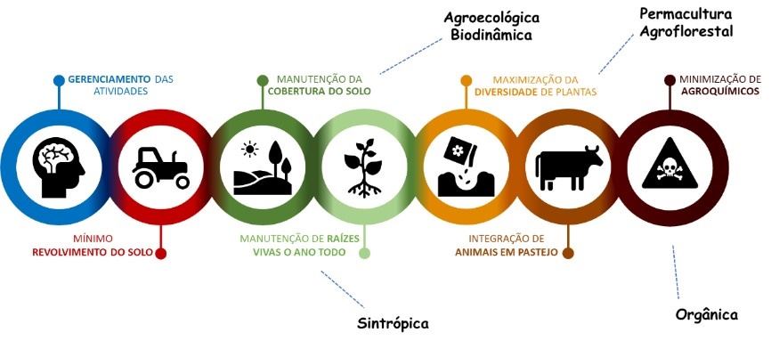 Agricultura regenerativa: princípios fundamentais e relação com outras modalidades de produção agropecuária diferenciada.