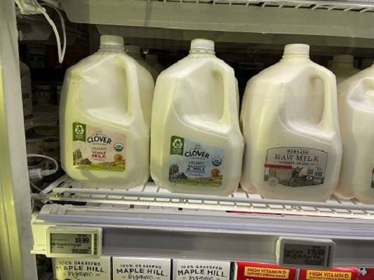 Diferença de preço do leite cru