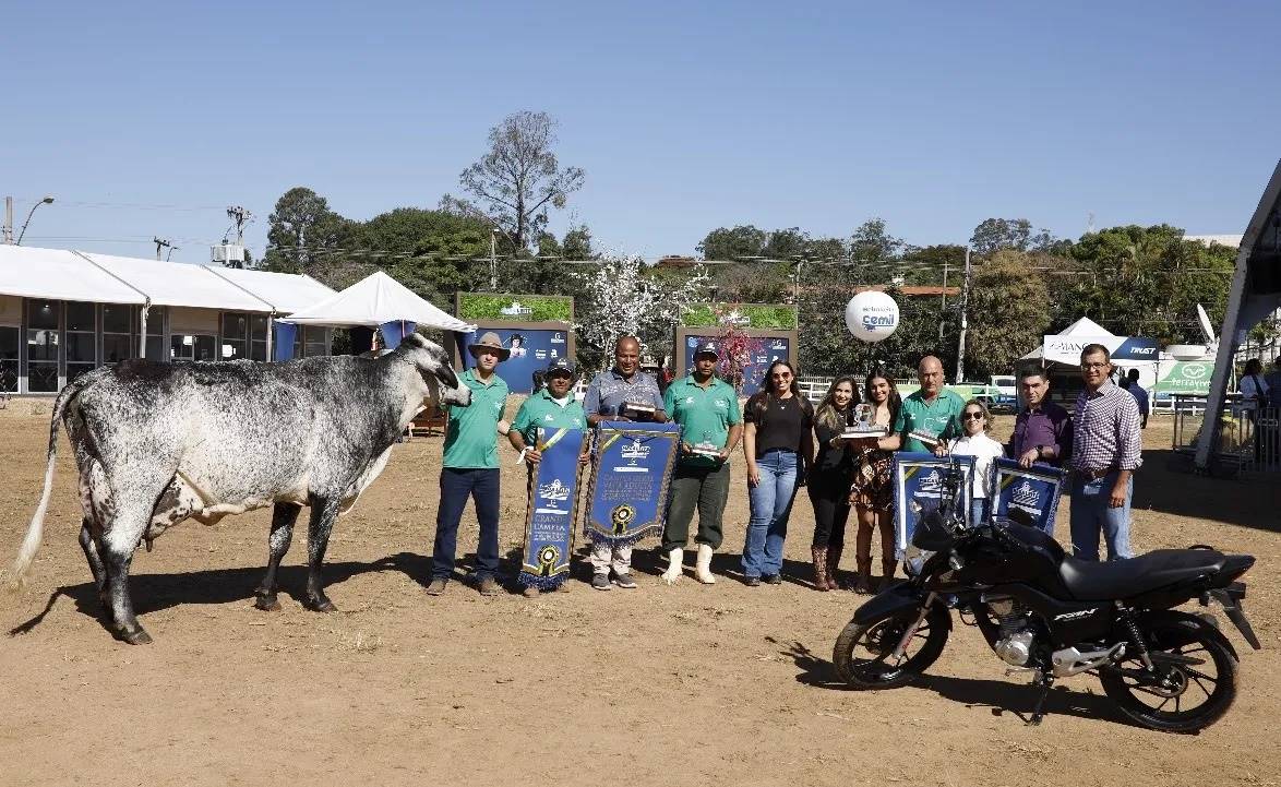 Figura 1