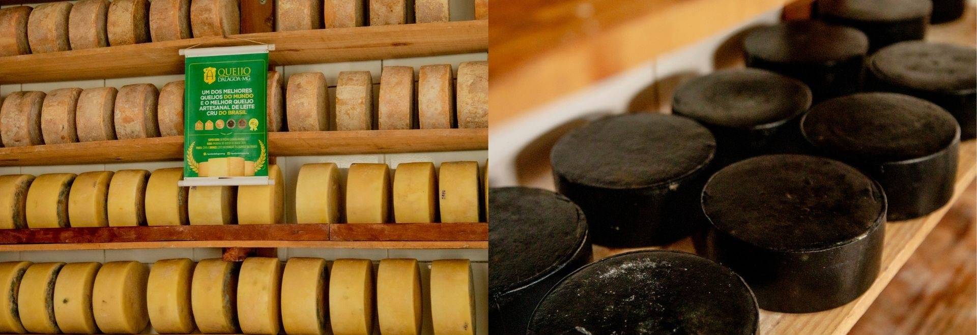 Queijos vendidos na Queijo D'Alagoa.