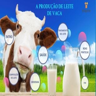 produçao de leite da vaca