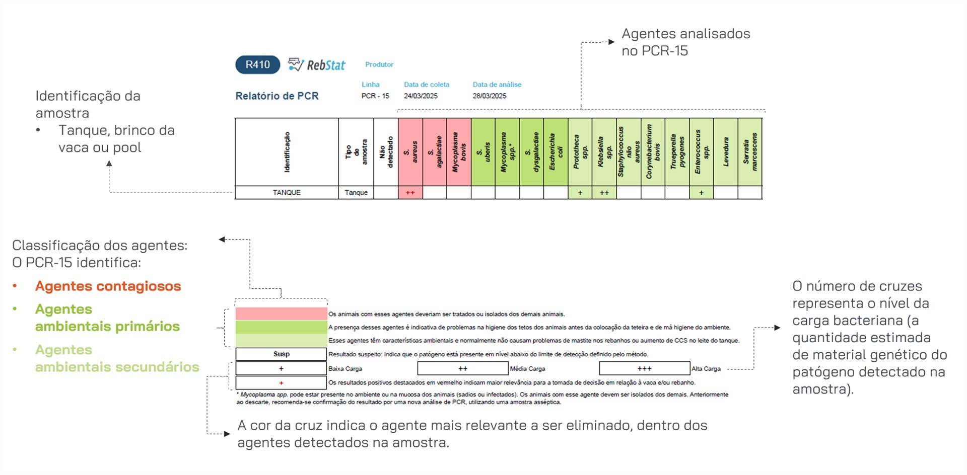 Figura 4